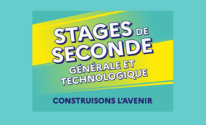 stage seconde